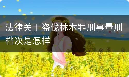法律关于盗伐林木罪刑事量刑档次是怎样