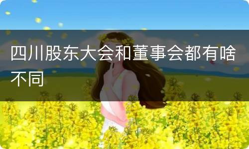 四川股东大会和董事会都有啥不同
