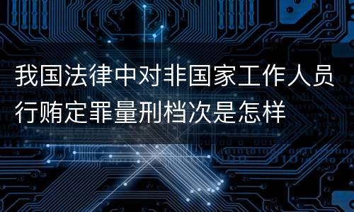 我国法律中对非国家工作人员行贿定罪量刑档次是怎样