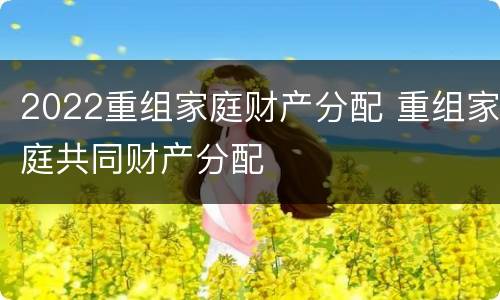2022重组家庭财产分配 重组家庭共同财产分配