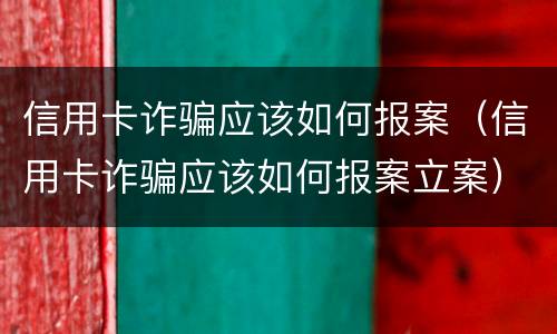 信用卡诈骗应该如何报案(信用卡诈骗应该如何报案立案)
