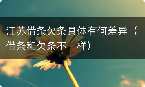 江苏借条欠条具体有何差异（借条和欠条不一样）