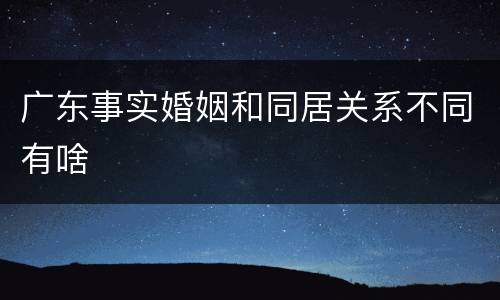 广东事实婚姻和同居关系不同有啥