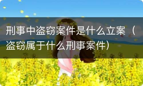 刑事中盗窃案件是什么立案（盗窃属于什么刑事案件）