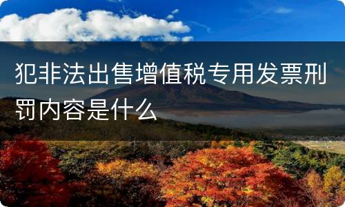 犯非法出售增值税专用发票刑罚内容是什么