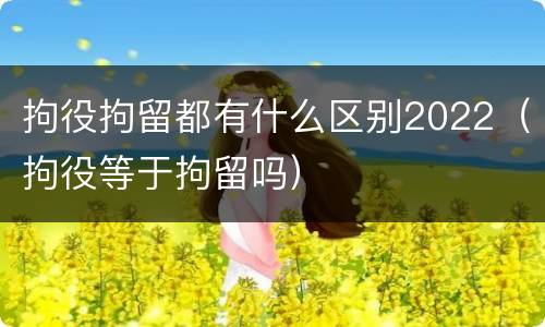 拘役拘留都有什么区别2022（拘役等于拘留吗）