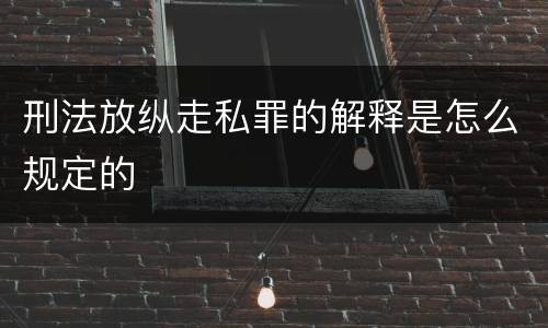 刑法放纵走私罪的解释是怎么规定的