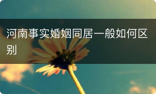 河南事实婚姻同居一般如何区别