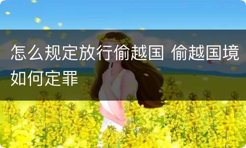 怎么规定放行偷越国 偷越国境如何定罪