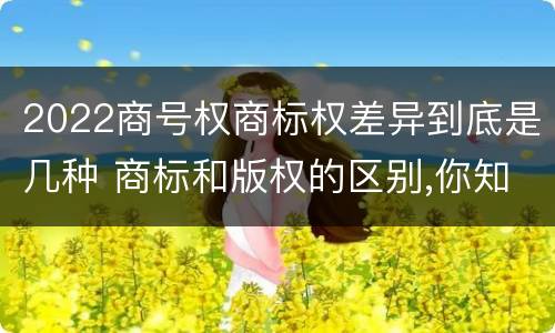2022商号权商标权差异到底是几种 商标和版权的区别,你知道多少?