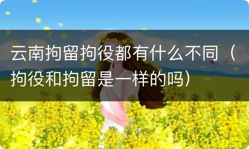 云南拘留拘役都有什么不同（拘役和拘留是一样的吗）