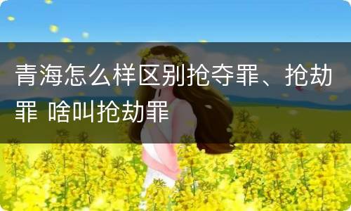 青海怎么样区别抢夺罪、抢劫罪 啥叫抢劫罪