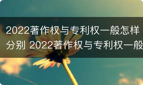 2022著作权与专利权一般怎样分别 2022著作权与专利权一般怎样分别审查