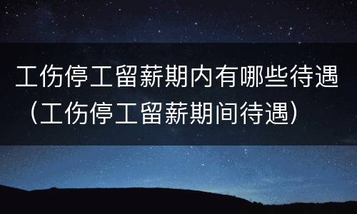 工伤停工留薪期内有哪些待遇（工伤停工留薪期间待遇）