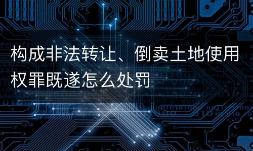 构成非法转让、倒卖土地使用权罪既遂怎么处罚