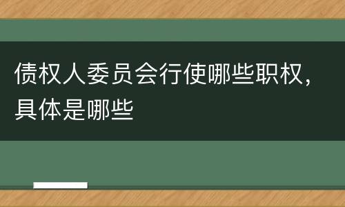 债权人委员会行使哪些职权，具体是哪些