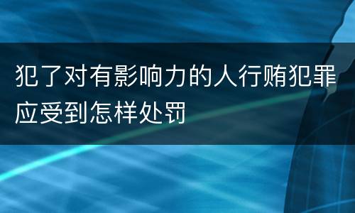 犯了对有影响力的人行贿犯罪应受到怎样处罚