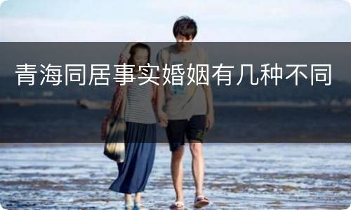 青海同居事实婚姻有几种不同