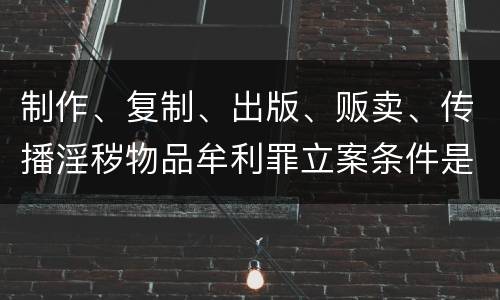 制作、复制、出版、贩卖、传播淫秽物品牟利罪立案条件是什么