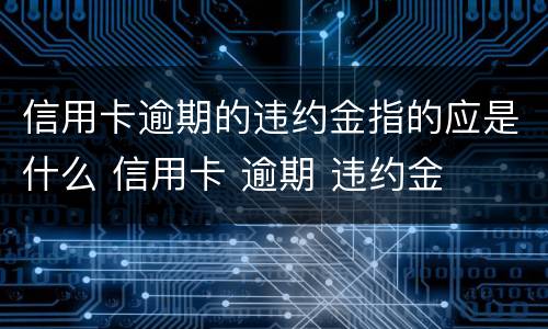 信用卡逾期的违约金指的应是什么 信用卡 逾期 违约金