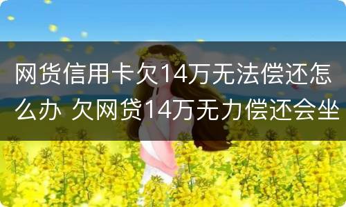 网货信用卡欠14万无法偿还怎么办 欠网贷14万无力偿还会坐牢吗