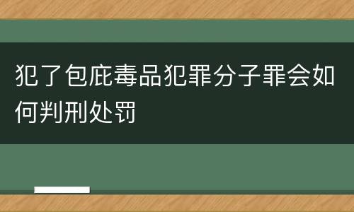 犯了包庇毒品犯罪分子罪会如何判刑处罚