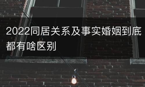 2022同居关系及事实婚姻到底都有啥区别