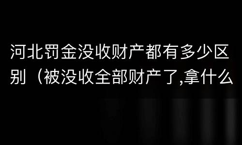河北罚金没收财产都有多少区别（被没收全部财产了,拿什么交罚金）
