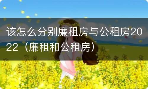 该怎么分别廉租房与公租房2022（廉租和公租房）