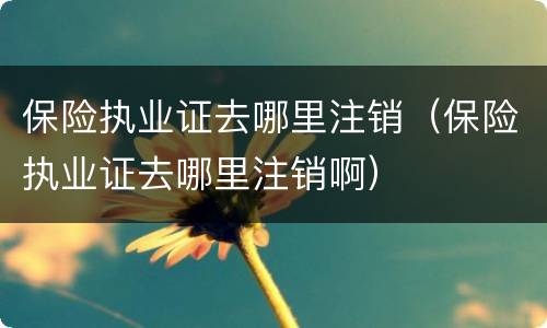 保险执业证去哪里注销（保险执业证去哪里注销啊）