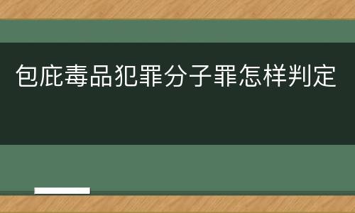 包庇毒品犯罪分子罪怎样判定