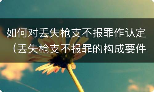 如何对丢失枪支不报罪作认定（丢失枪支不报罪的构成要件）
