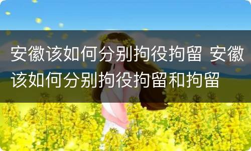 安徽该如何分别拘役拘留 安徽该如何分别拘役拘留和拘留