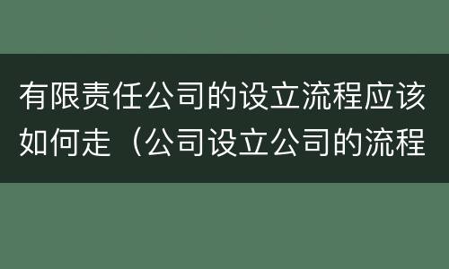 有限责任公司的设立流程应该如何走（公司设立公司的流程）