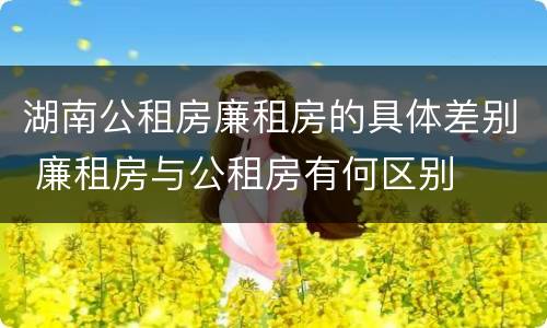 湖南公租房廉租房的具体差别 廉租房与公租房有何区别