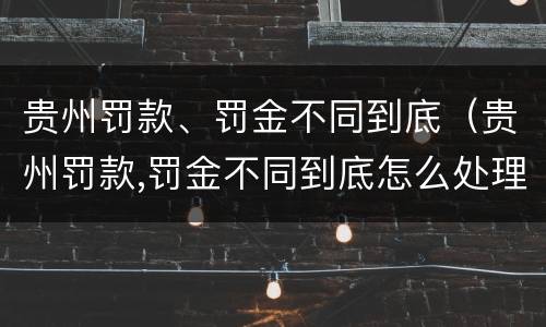 贵州罚款、罚金不同到底（贵州罚款,罚金不同到底怎么处理）