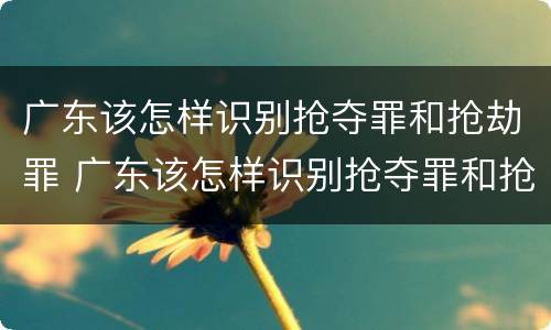 广东该怎样识别抢夺罪和抢劫罪 广东该怎样识别抢夺罪和抢劫罪的区别
