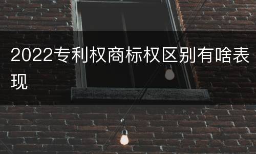 2022专利权商标权区别有啥表现