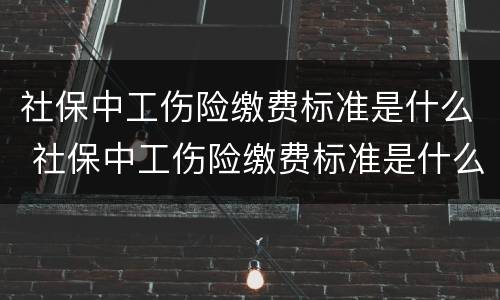 社保中工伤险缴费标准是什么 社保中工伤险缴费标准是什么