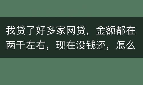 我贷了好多家网贷，金额都在两千左右，现在没钱还，怎么办呢