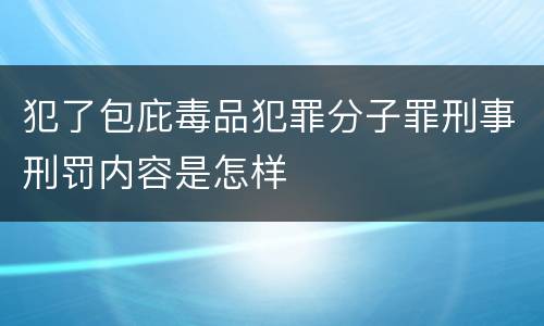 犯了包庇毒品犯罪分子罪刑事刑罚内容是怎样