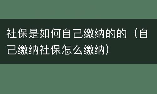 社保是如何自己缴纳的的（自己缴纳社保怎么缴纳）
