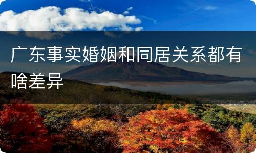广东事实婚姻和同居关系都有啥差异
