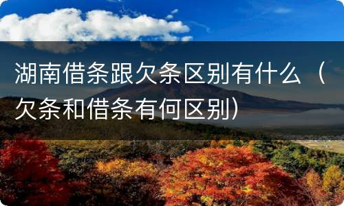 湖南借条跟欠条区别有什么（欠条和借条有何区别）