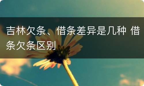 吉林欠条、借条差异是几种 借条欠条区别