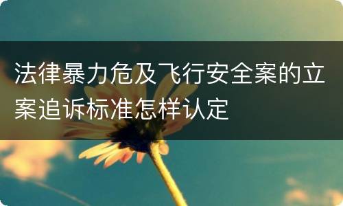 法律暴力危及飞行安全案的立案追诉标准怎样认定