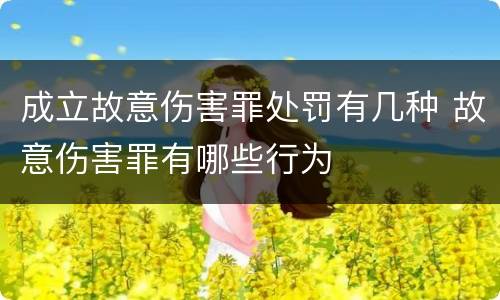 成立故意伤害罪处罚有几种 故意伤害罪有哪些行为