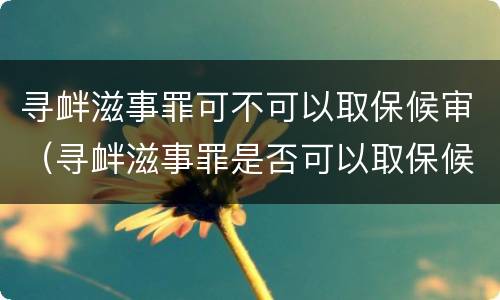 寻衅滋事罪可不可以取保候审（寻衅滋事罪是否可以取保候审）