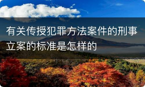 有关传授犯罪方法案件的刑事立案的标准是怎样的