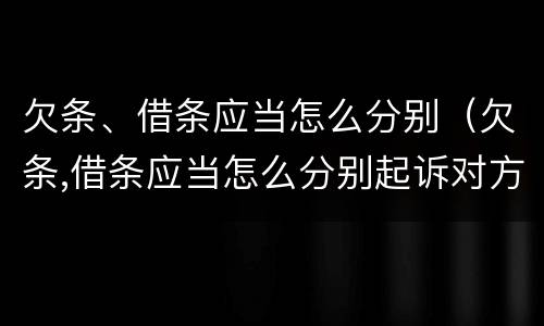 欠条、借条应当怎么分别（欠条,借条应当怎么分别起诉对方）